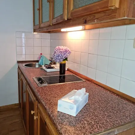 Complejo Rural Del Narcea Apartment *